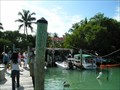 Image for Robbie's Marina - Islamorada, Florida