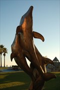 Image for Dolphins - Avila Beach California