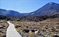 Image for Tongariro Crossing Boardwalk,  Central North Island. New Zealand.