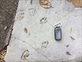 Image for Footprints Dog/Human - Dunnellon, Florida, USA