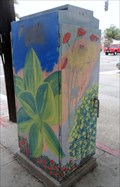 Image for Floral Box  -  San Diego, CA