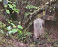 Image for Arawhata Cemetery.  near Jackson Bay.  New Zealand.