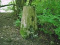 Image for Wrockwardine Wood Triangulation Pillar