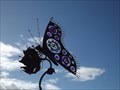 Image for Butterfly - Phillip Island, Victoria, Australia