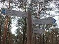 Image for Arrows in the Wood near Burrweiler - RLP / Germany