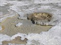 Image for Aurum Geyser - Yellowstone N.P., Wyoming