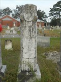 Image for Lena W. Womble - Big Creek United Methodist Church Cemetery - Big Creek, AL