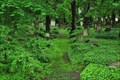 Image for Elias Friedhof - Dresden, Germany