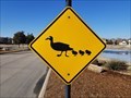 Image for Duck Crossing - Melissa, TX
