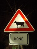 Image for Beware Of Horses! - Bohounovice, CZ