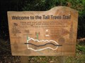 Image for 'You Are Here' - Tall Trees Trail, New Forest, South Hampshire, UK