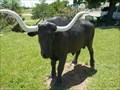 Image for Longhorn Cattle - Centennial Plaza - Comanche, OK