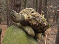 Image for Turtle in the Palatinate Forest - RLP / Germany