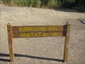 Image for "Burrowing Owl Habitat" West Wet Lands Park - Yuma, Arizona