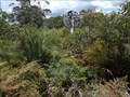 Image for Pinanpinga TP, Knodingbul Forest, NSW