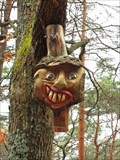 Image for Round Wood Face in the Palatinate Forest - RLP / Germany