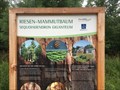 Image for Informatiostafel über Mammutbäume - Aalen, Germany