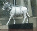 Image for Quagga, Cape Town, South Africa