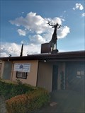 Image for Elk Lodge No 2065 - Sierra Vista, AZ