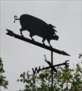 Image for Pig of Ruissalo - Turku, Finland