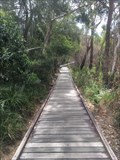 Image for Searys Creek boardwalk - Rainbow Beach, Australia