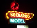 Image for Route 66 - Tucumcari At Night - Buckaroo Motel
