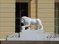 Image for Russian Museum (Mikhaylovsky Palace) Lions - St. Petersburg, Russia