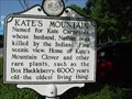 Image for Kate's Mountain
