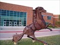 Image for Lewis Palmer High School Rangers - Monument, CO