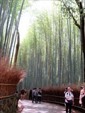 Image for Sagano Bamboo Groves - Kyoto, Japan