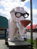 Image for Fortville, Indiana: Martini-Drinking Pink Elephant