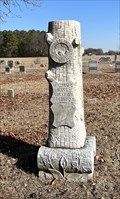 Image for William C. Bass, Pleasant Grove Free Will Baptist Church Cemetery - Dunn, North Carolina, USA