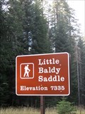 Image for Little Baldy Saddle - Sequoia, CA - Elevation 7335