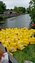 Image for Red Cross Duck Race - Beilen NL