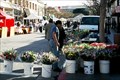 Image for Monterey Farmer's Market