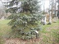 Image for Ray Adams - Olde Methodist Cemetery - Westerville, OH