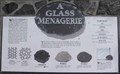 Image for A Glass Menagerie