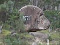 Image for Dog-gone Rock - Tenterfield, NSW