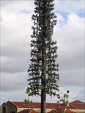 Image for Evergreen Cell Tower, Rancho Cucamonga,Ca.