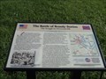 Image for The Battle of Brandy Station-The Struggle for Fleetwood Hill - Brandy Station VA