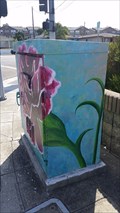 Image for Flower Box - Hayward, CA