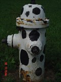 Image for Hasselroth Hydrant