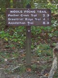 Image for Middle Prong Trail - Great Smoky Mountains National Park, TN