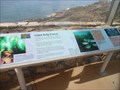 Image for Giant Kelp Forest  - San Diego, CA