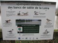 Image for Observation des oiseaux - La Chapelle-aux-Naux - France
