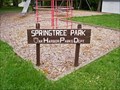 Image for Spring Tree Park playground
