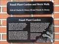 Image for Fossil Plant Garden - Gainesville, FL