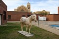 Image for Patches - Hoof Prints of the American Quarter Horse - Amarillo, TX