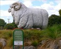 Image for Giant Merino Ram at the Agrodome. Ngongotaha.  New Zealand.