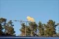 Image for Lion's club Weather Vane - Cambria California